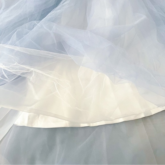 Prom Dress - Picture 9 of 16